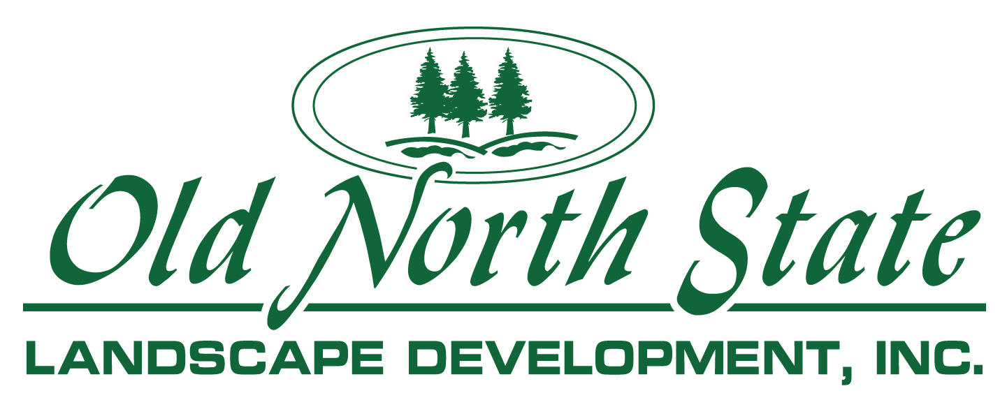 Old North State Landscape