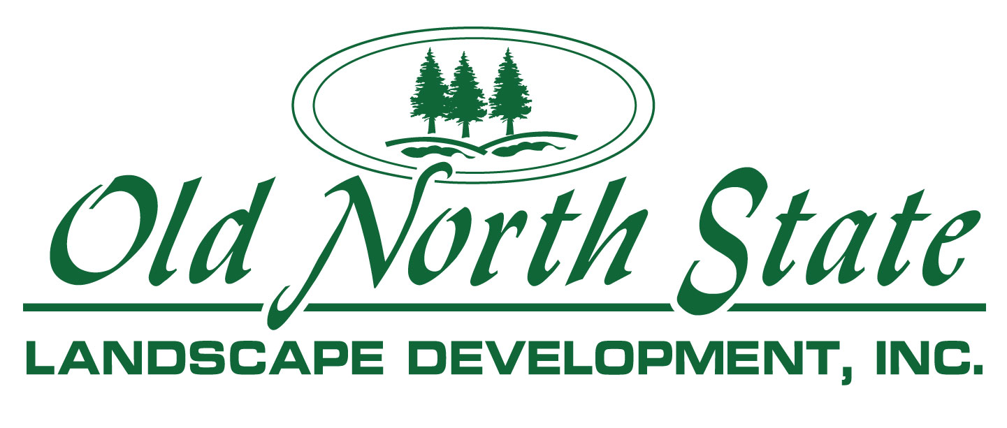 Old North State Landscape